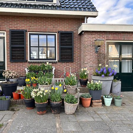 Flowerbed Voorhout 外观 照片
