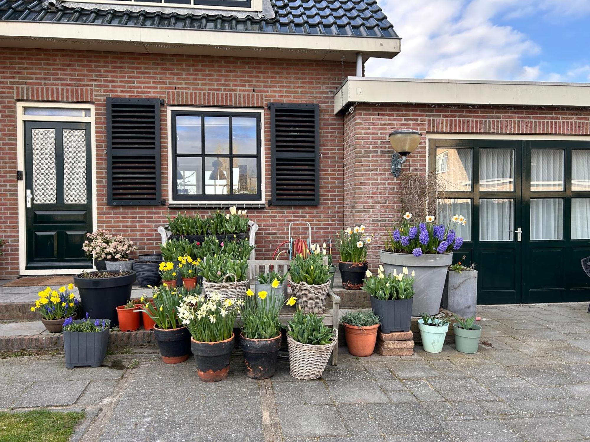 Flowerbed Voorhout 外观 照片