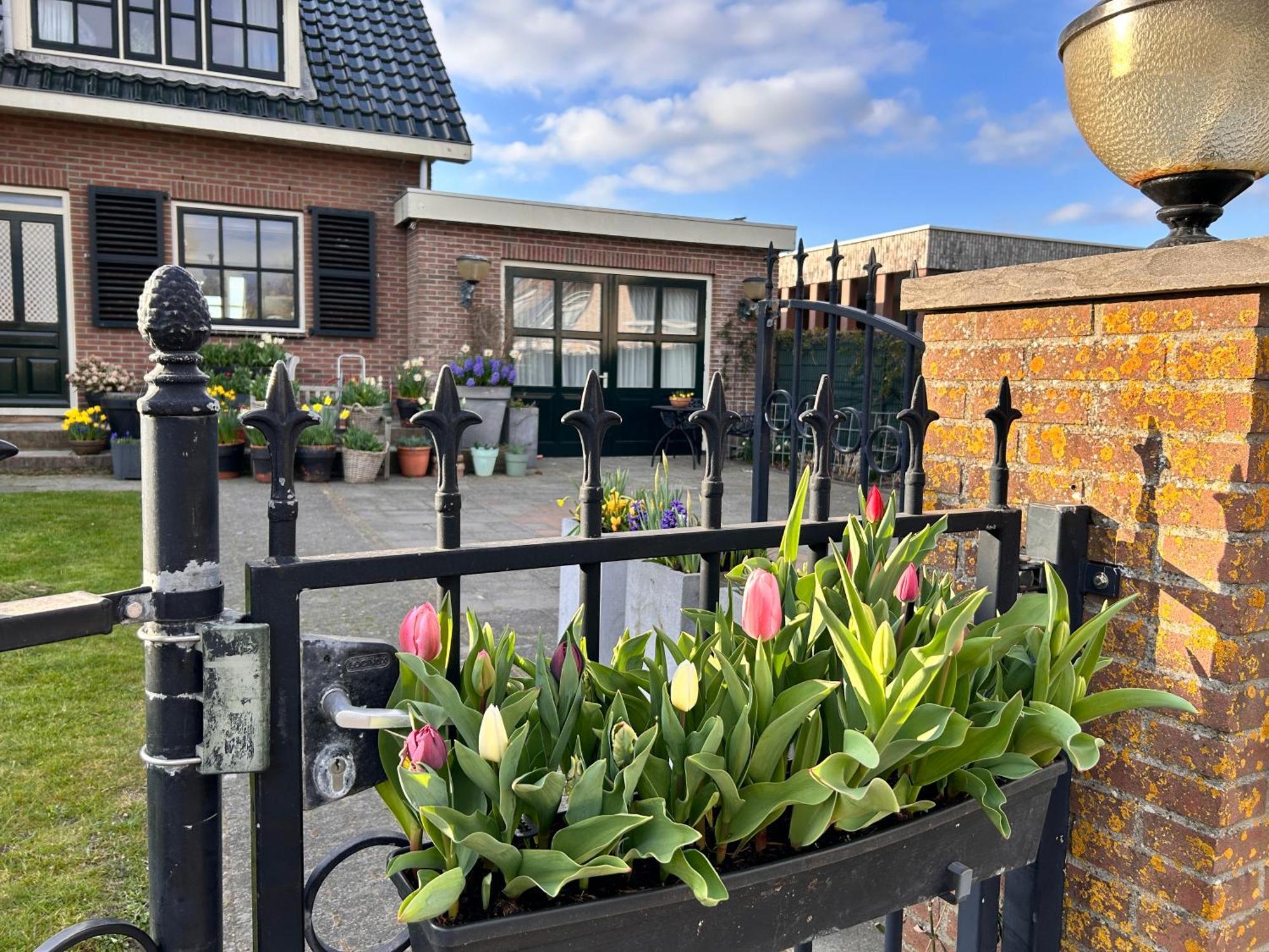 Flowerbed Voorhout 外观 照片